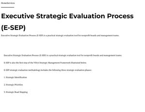 Executive Strategic Evaluation Process Vectors Group