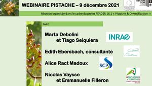 VAUCLUSE : Présentation Webinaire Pistache & Diversification