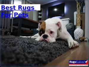 Best Rugs For Pets