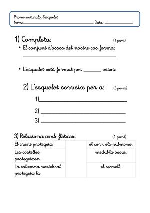 Prova L'esquelet Humà.