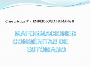 Malformaciones Del Intestino Anterior