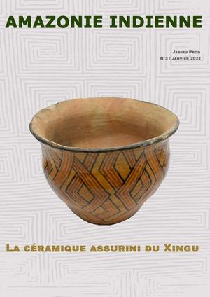 Amazonie Indienne N°3