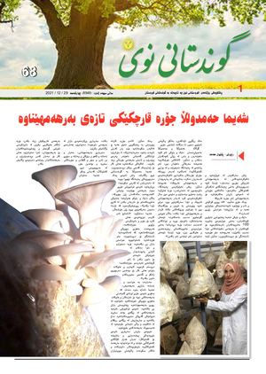 Gwndstan 29 -12 -2021