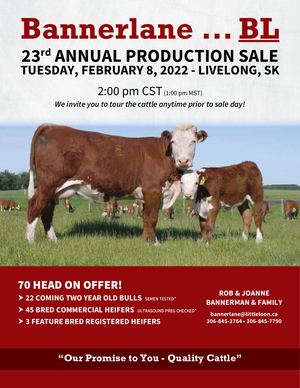 Bannerlane 2022 Sale Catalogue