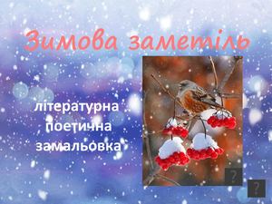 Зимова заметіль