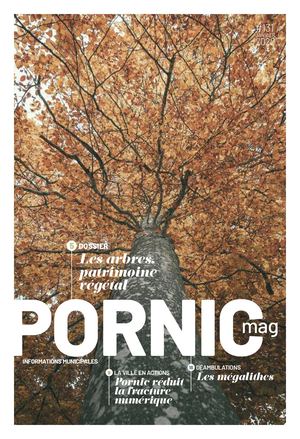 PORNICMAG 131 JANVIER 2022