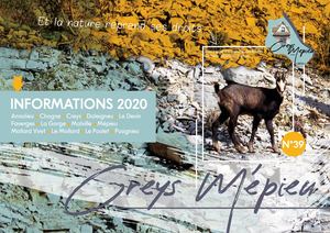 Bulletin Creys Mepieu 2020