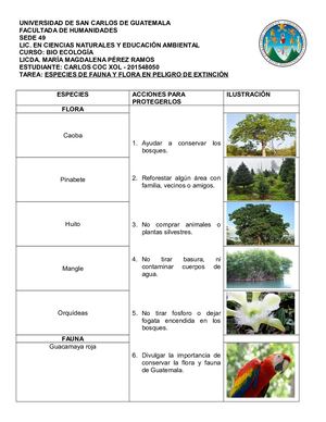 Flora Y Fauna En Peligro De Extincion Carlos 201548050