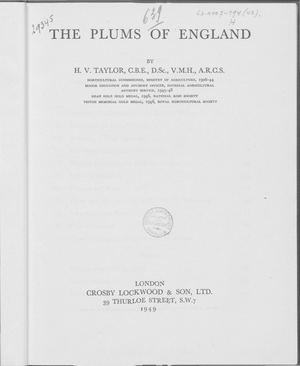 The Plums Of England