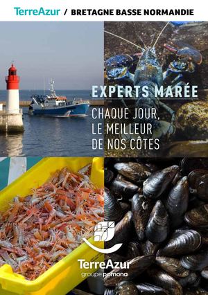 CARNET MARÉE BRETAGNE