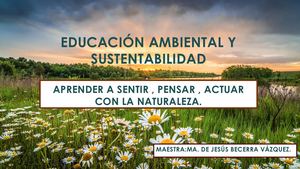 Sentir A La Naturaleza
