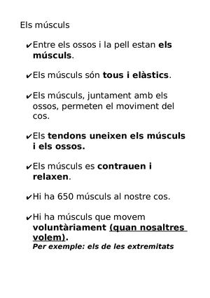 Els Músculs