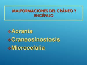 Anomalias Del Cráneo Y Encéfalo -Embriología H I