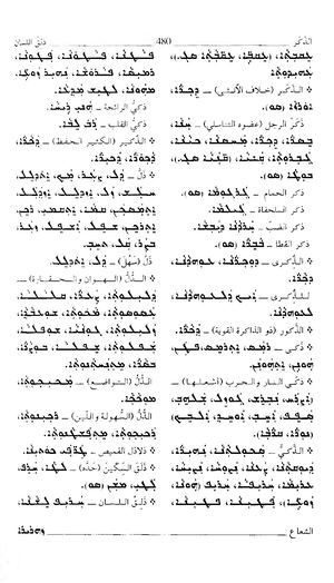 قاموس زهريرا ج2