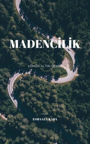 Madencilik
