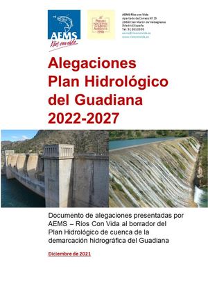 20211220 Ch Guadiana Alegaciones Borrador PH 22 27