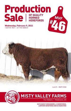 Misty Valley Catalogue 2022