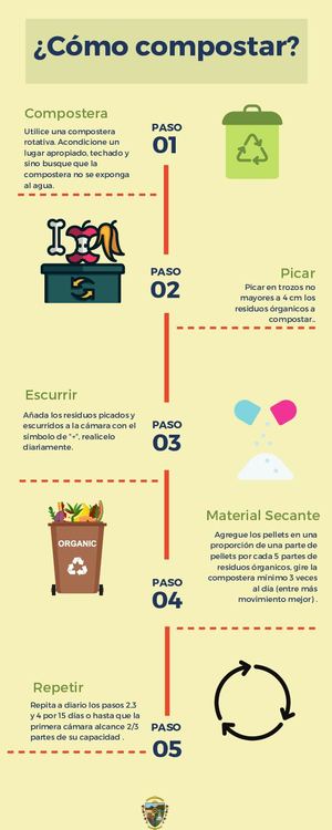 Infografía Proceso Ilustrado Verde Y Rojo