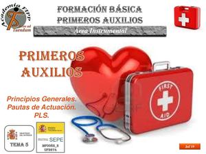 PAUX 10 - Primeros Auxilios