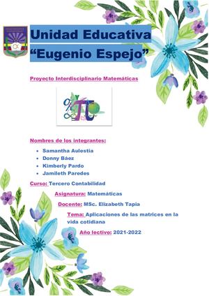 Proyecto Interdisciplinario Matemáticas 6to
