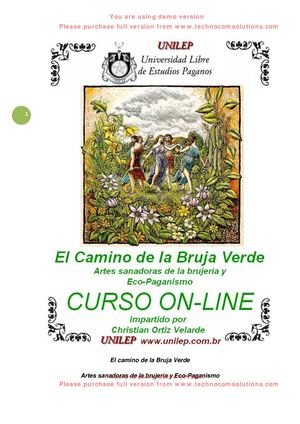 El Camino De La Bruja Verde