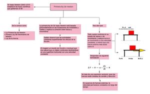 Organizador Grafico Proyecto 1 Unidad 2 PROTOTIPO PRIMERA LEY DE NEWTON