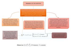 Organizador Grafico Primera Ley De Newton