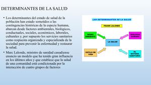 Determinantes De La Salud