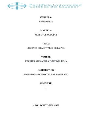 Lesiones Elementales De La Piel