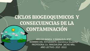 Revista Digital