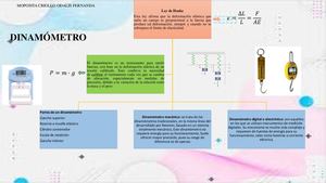 Dinamómetro Organizador Grafico