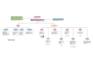 Mapa conceptual Puente