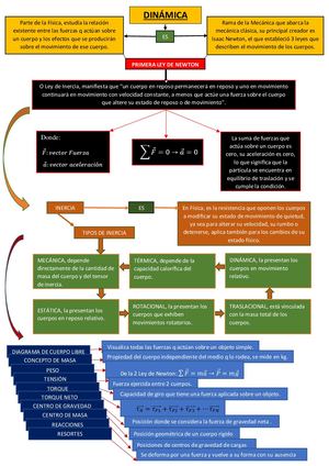 Organizador Gráfico Primera Ley De Newton