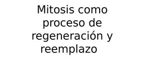 Mitosis Como Proceso De Regeneración Y Reemplazo