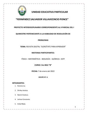 3ro Bgu Grupo 6 Formato De Trabajo Habilidad Resolución De Problemas