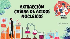 áCidos Nucleicos