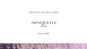 Araquelle Presentation-Export