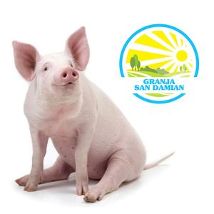 Catálogo Granja San Damian