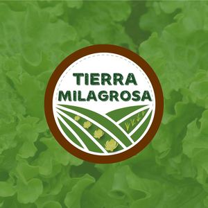 Catálogo Tierra Milagrosa
