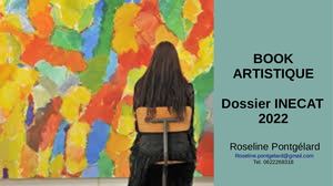 Book Artistique R Pontgelard