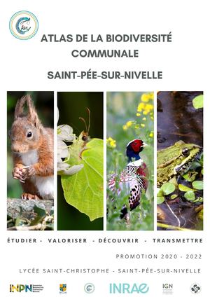 ABC Saint Pée Sur Nivelle - Part 1 (2022)