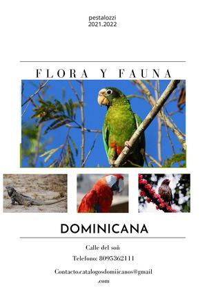 Copia De Nueva Colección (3)flora y fauna