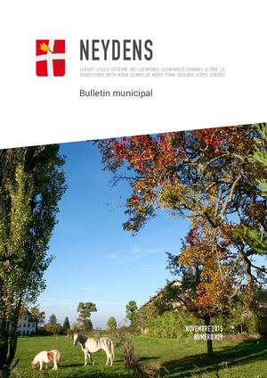 Bulletin municipal n°29 - Novembre 2015