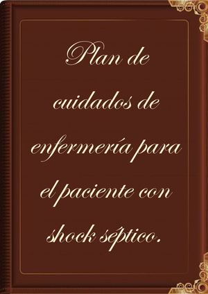 Plan De Cuidados Shock Séptico