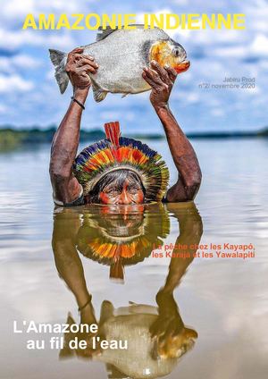 Amazonie Indienne N2