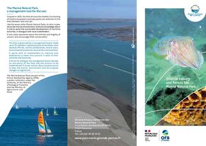 Gironde Estuary Pertuis Sea Marine Park