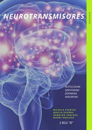 Neurotransmisores