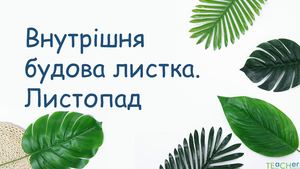 Внутрішня будова листка. Листопад..