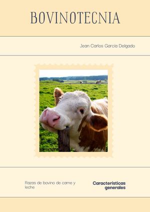 B Actividad # 2 Unidad # 1