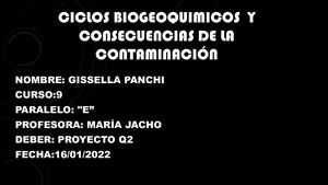 Ciclos Biogeoquimicos Y Consecuencias De La Contaminación